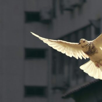 Call to Pray - Webpage